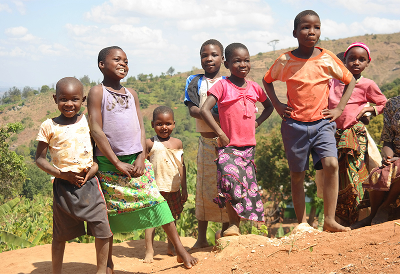 Malawi tea communities development projects